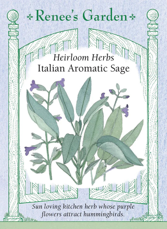 Sage Italian Aromatic - Renee's Garden