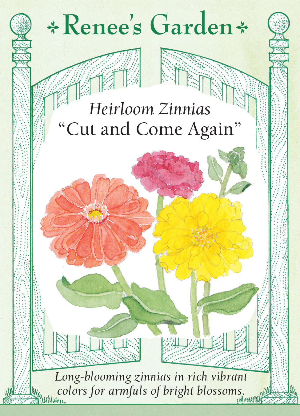 Zinnia Cut and Come Again - Renee's Garden