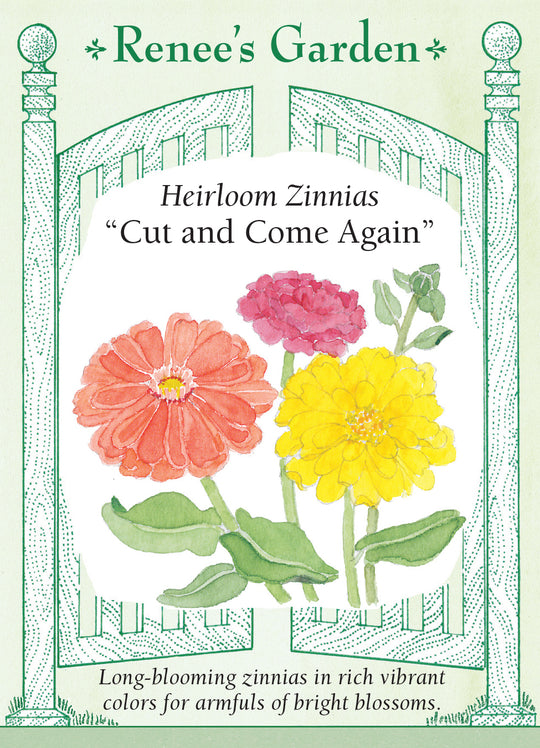 Zinnia Cut and Come Again - Renee's Garden