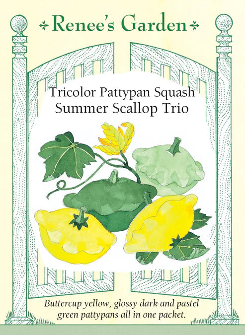 Squash Summer Scallop Trio - Renee's Garden