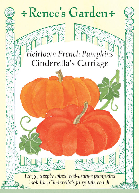 Pumpkin Cinderella's Carriage - Renee's Garden