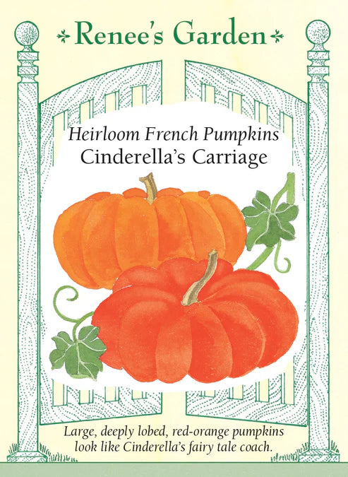 Pumpkin Cinderella's Carriage - Renee's Garden