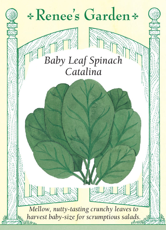 Spinach Catalina - Renee's Garden