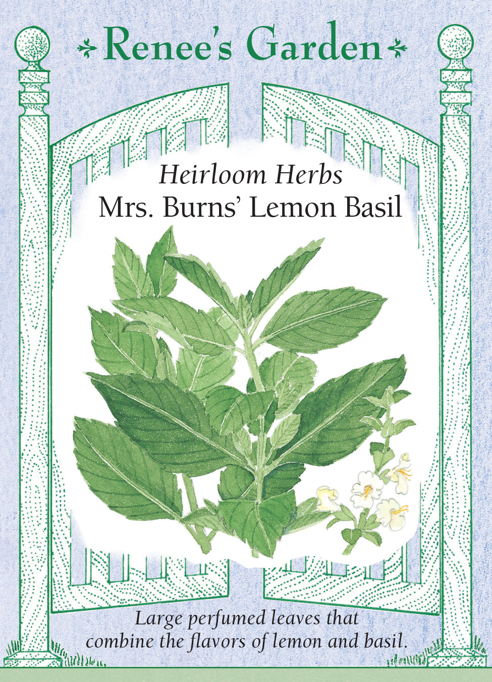 Basil Mrs. Burns' Lemon - Renee's Garden