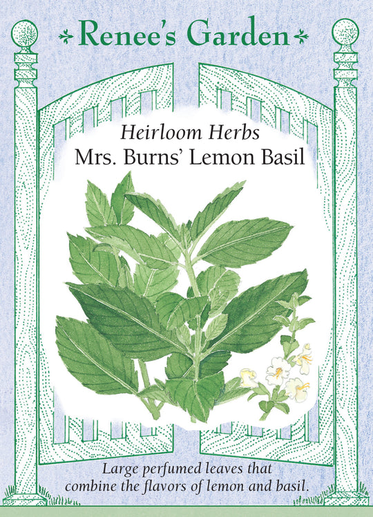 Basil Mrs. Burns' Lemon - Renee's Garden