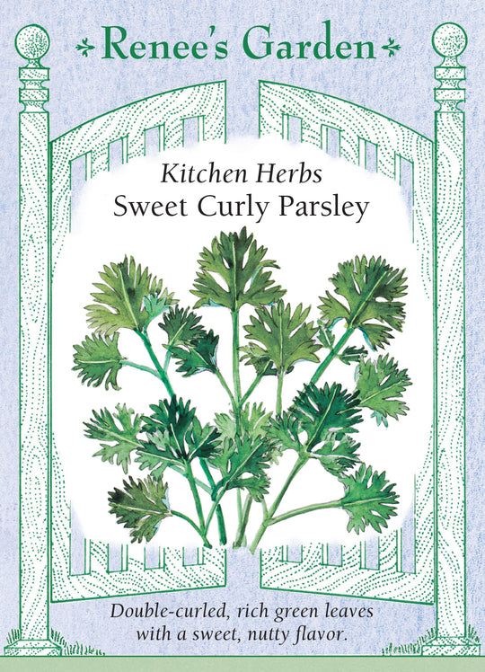 Parsley Sweet Curly - Renee's Garden