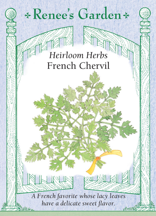 Herb French Chervil - Renee's Garden