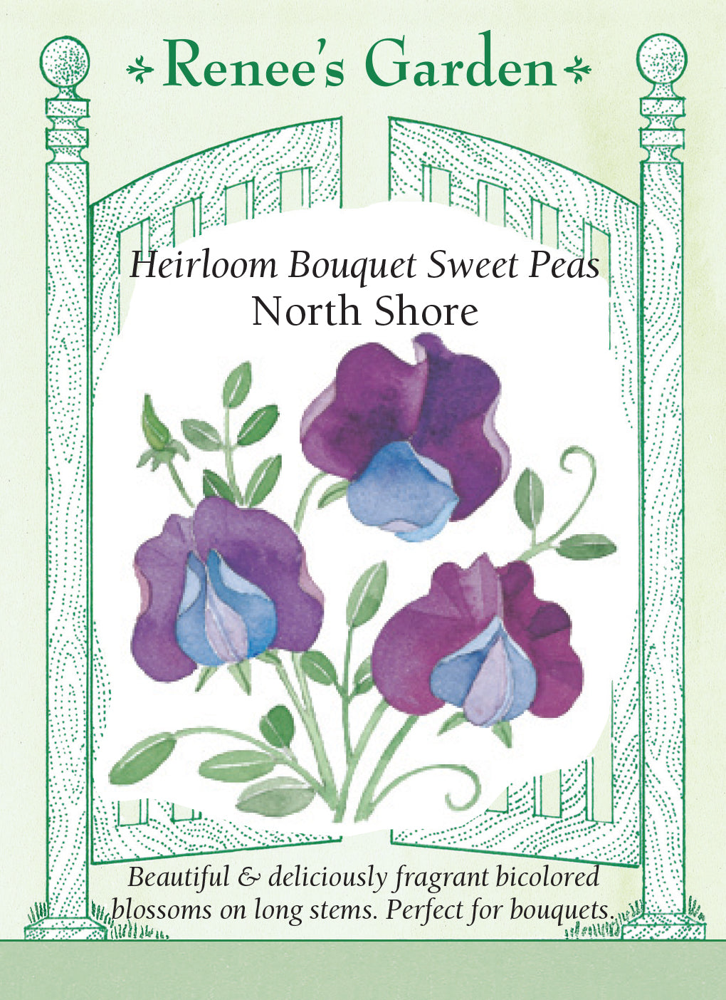 Sweet Pea North Shore - Renee's Garden