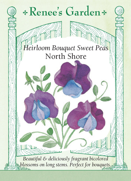 Sweet Pea North Shore - Renee's Garden
