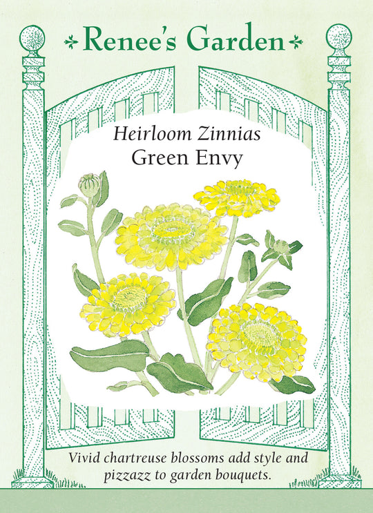 Zinnia Green Envy - Renee's Garden