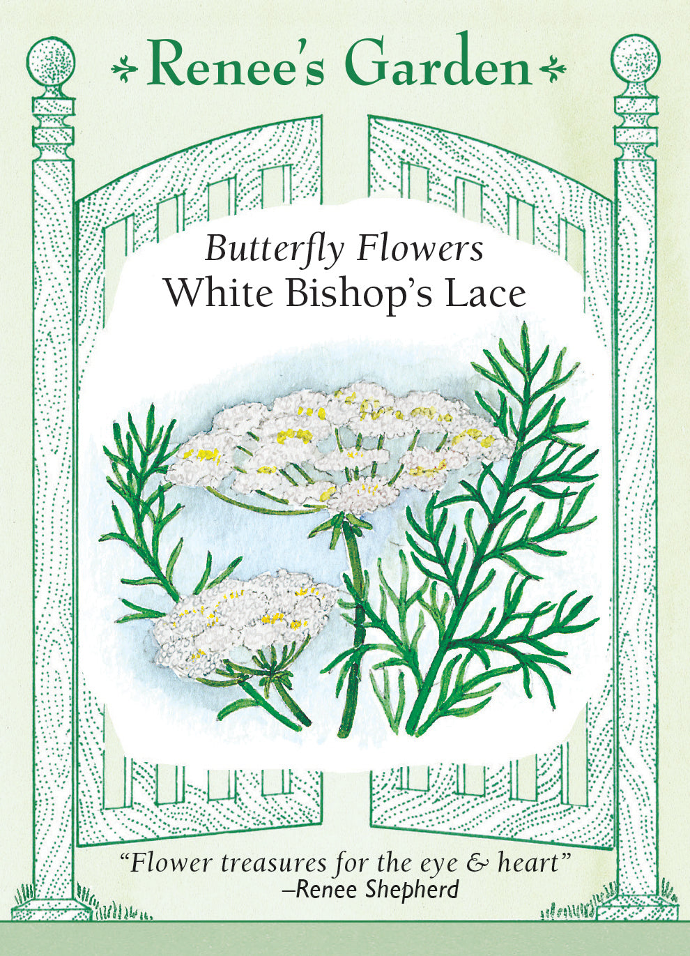 Bishop's Lace White - Renee's Garden