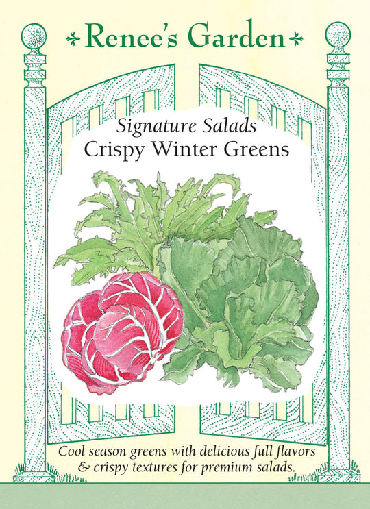 Greens Crispy Winter - Renee's Garden