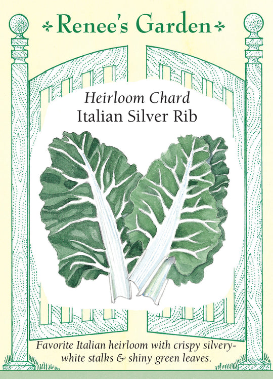 Chard Italian Silver Rib - Renee's Garden