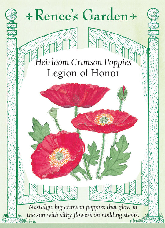 Poppy Legion of Honor - Renee's Garden