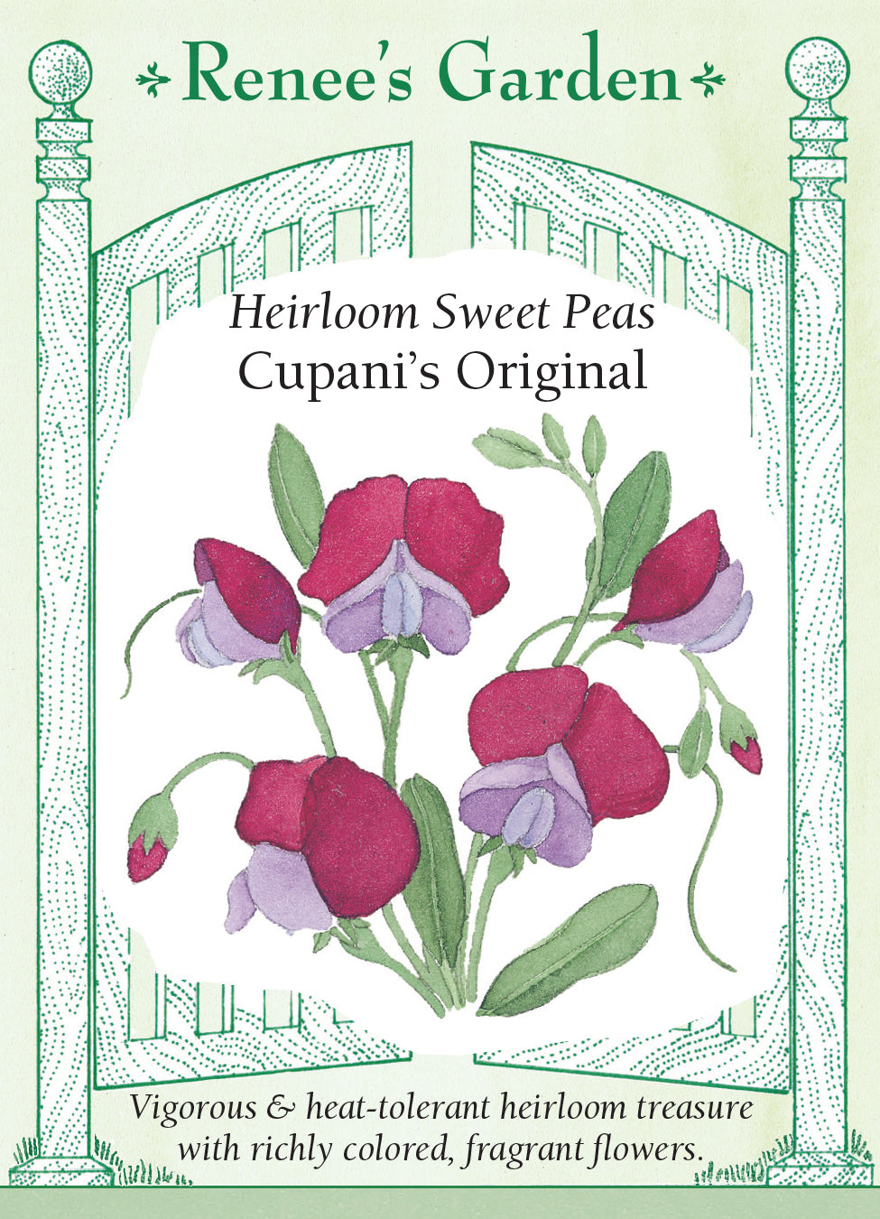 Sweet Pea Cupani's Original - Renee's Garden