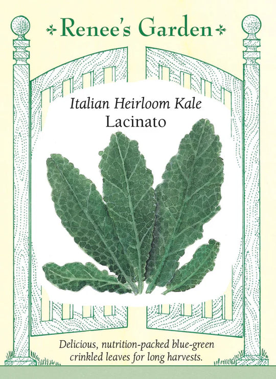 Kale Lacinato - Renee's Garden