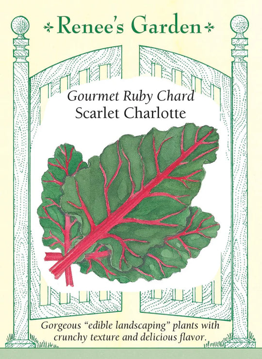 Chard Scarlet Charlotte - Renee's Garden