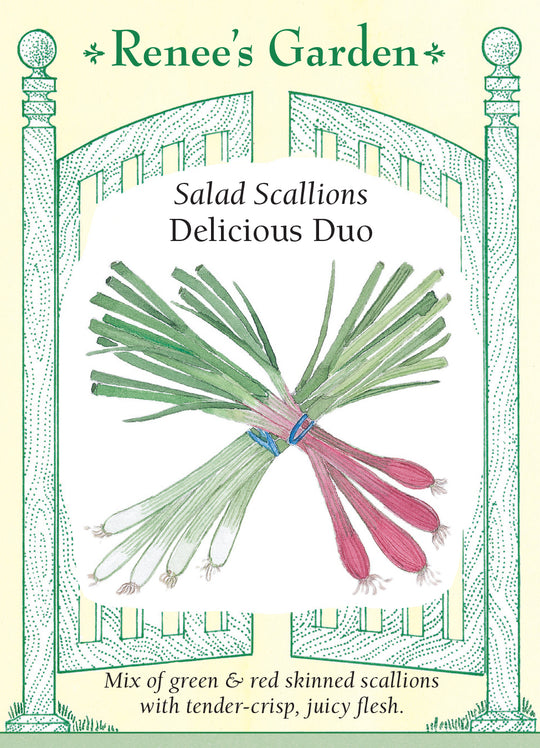 Scallions Delicious Duo - Renee's Garden