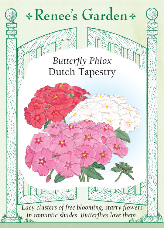 Phlox Dutch Tapestry - Renee`s Garden