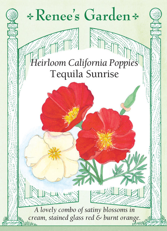 California Poppy Tequila Sunrise - Renee's Garden