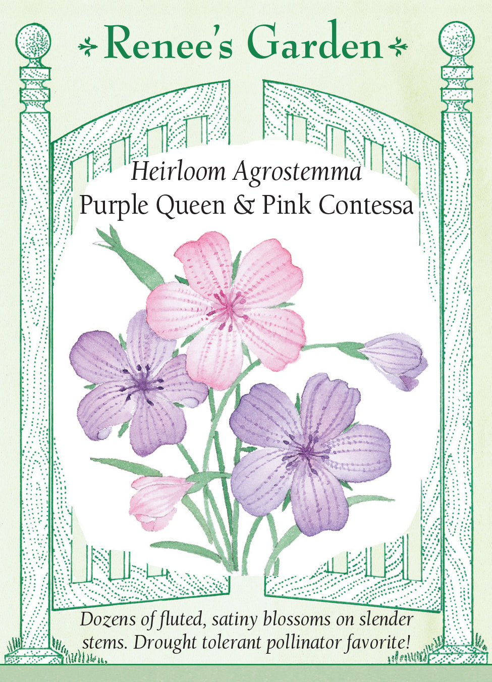 Agrostemma Purple Queen & Pink Contessa - Renee's Garden