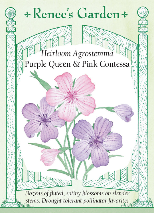 Agrostemma Purple Queen & Pink Contessa - Renee's Garden