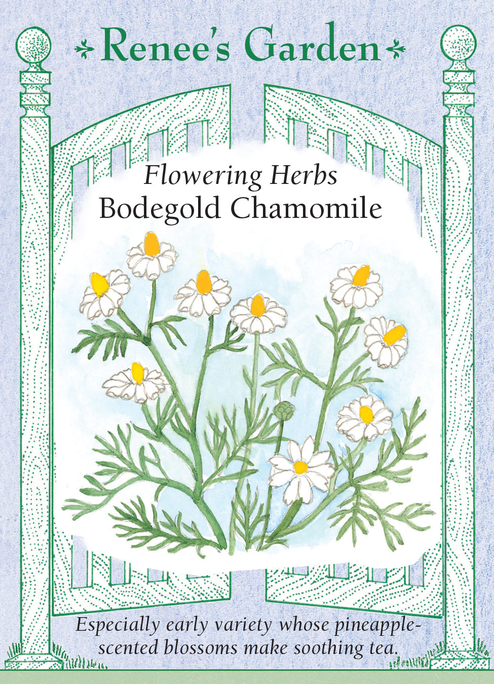 Chamomile Bodegold - Renee's Garden
