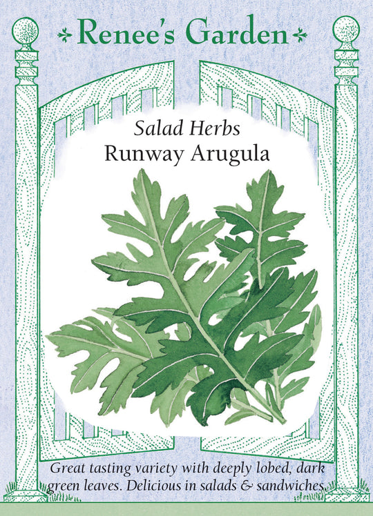 Arugula Runway - Renee's Garden