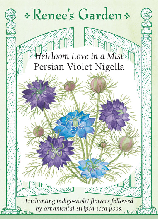 Nigella Persian Violet - Renee's Garden