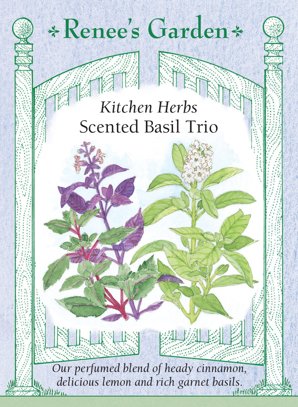 Basil Scented Trio - Renee's Garden