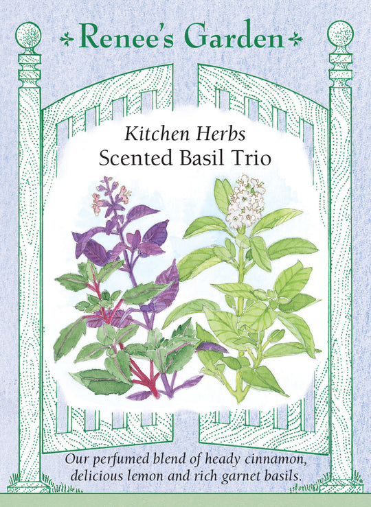 Basil Scented Trio - Renee's Garden