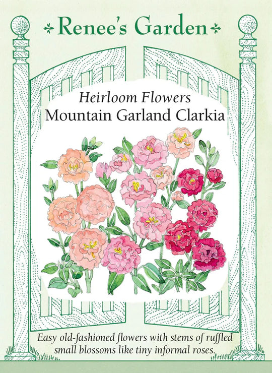 Clarkia Mountain Garland - Renee's Garden