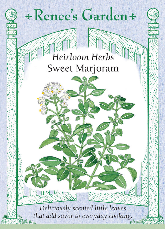 Marjoram Sweet - Renee's Garden