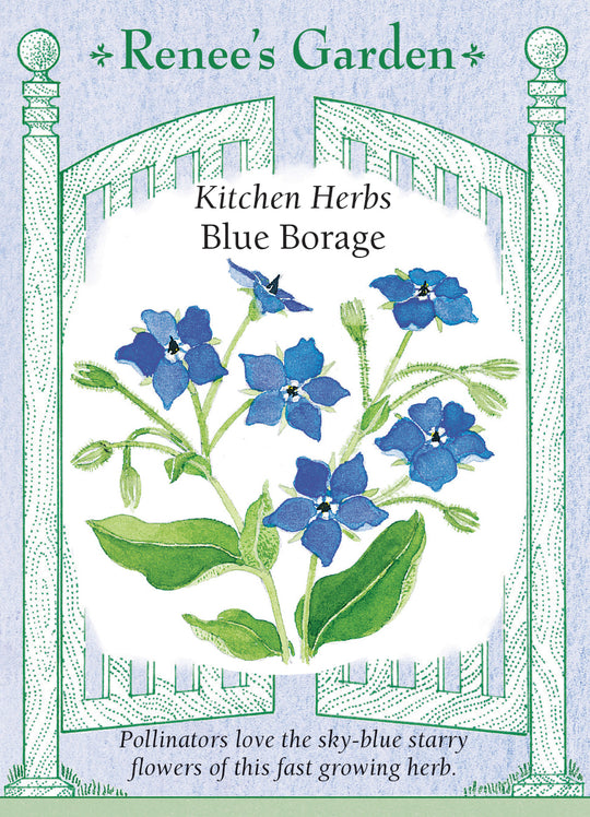 Borage Blue - Renee's Garden