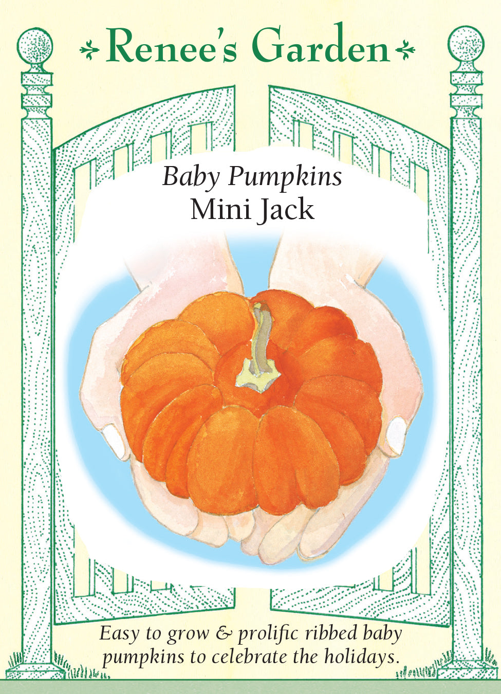 Pumpkin Mini Jack - Renee's Garden