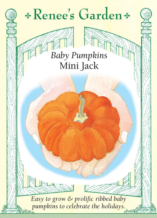 Pumpkin Mini Jack - Renee's Garden