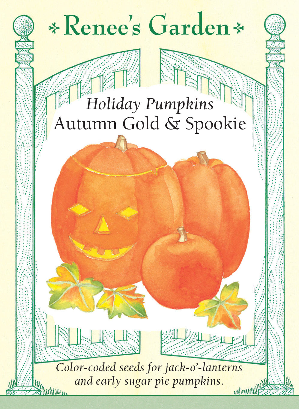Pumpkins Autumn Gold & Spookie - Renee's Garden