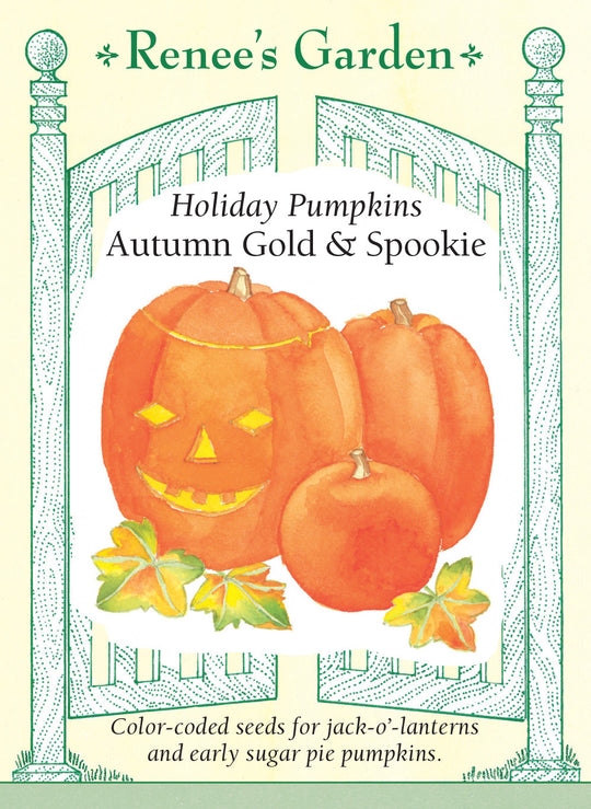 Pumpkins Autumn Gold & Spookie - Renee's Garden