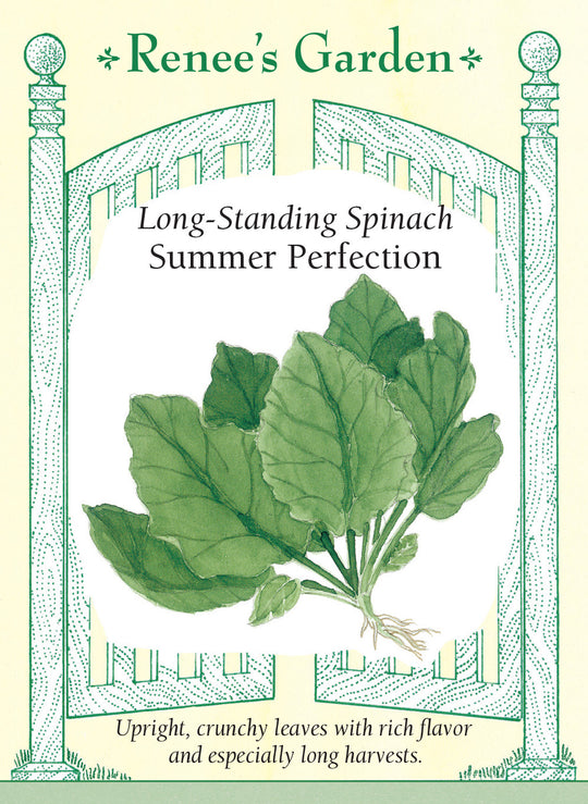 Spinach Summer Perfection - Renee's Garden