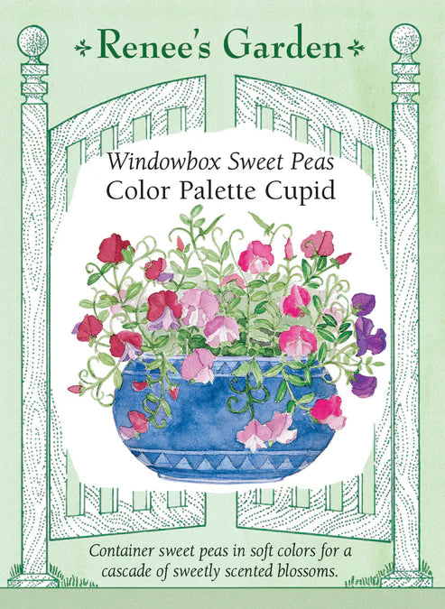 Sweet Pea Color Palette Cupid - Renee's Garden