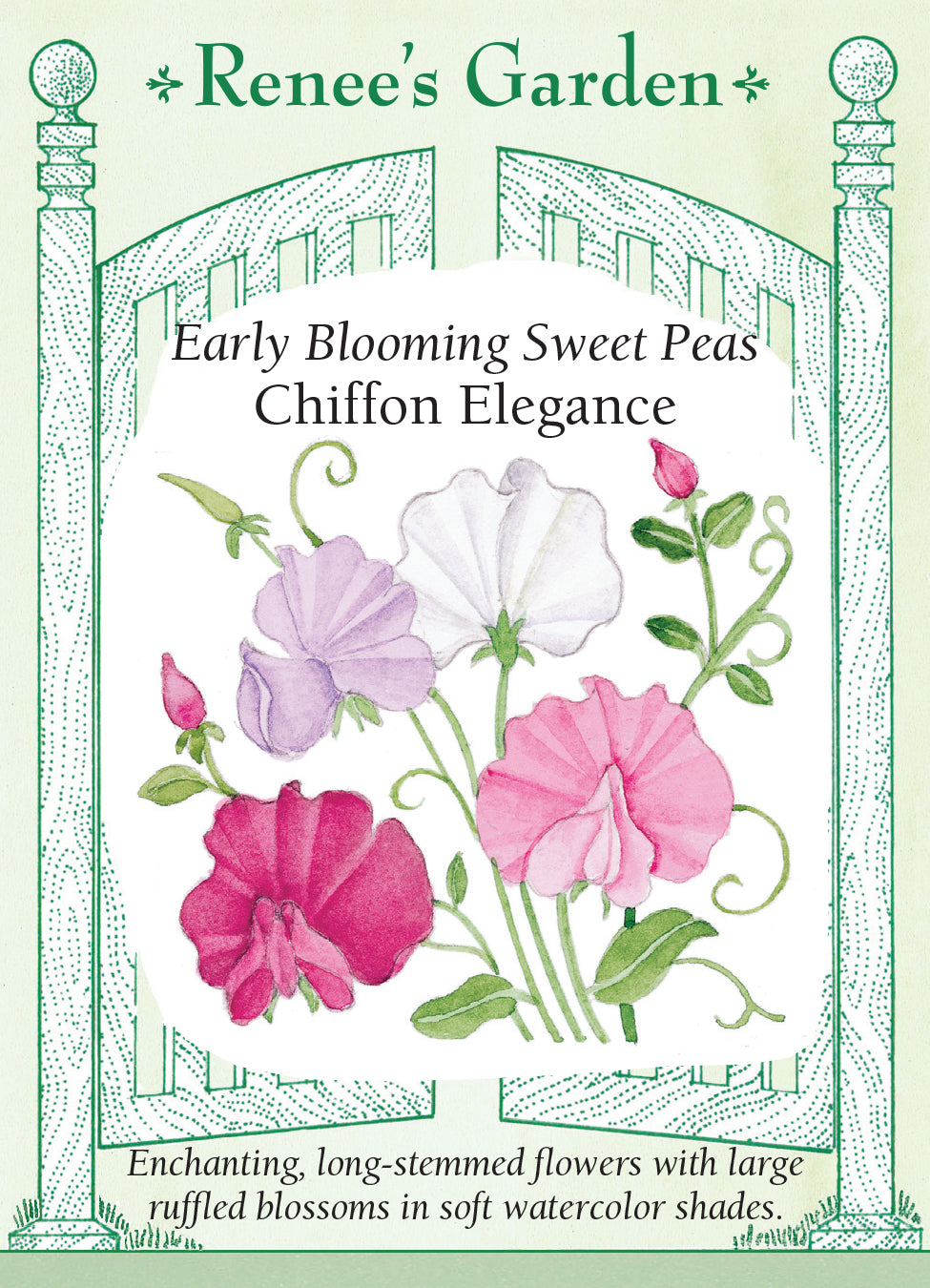 Sweet Pea Chiffon Elegance - Renee's Garden