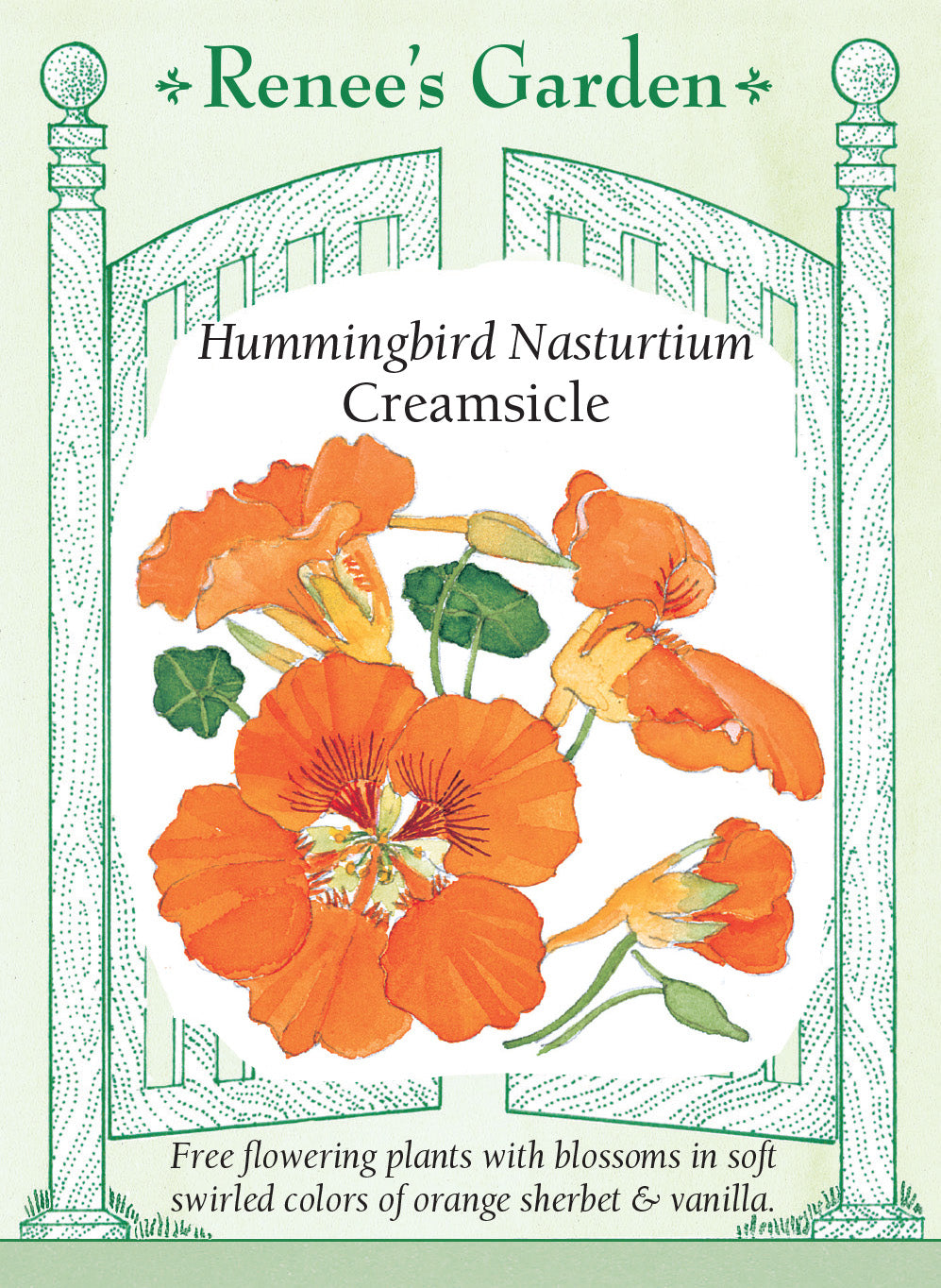 Nasturtium Creamsicle - Renee's Garden