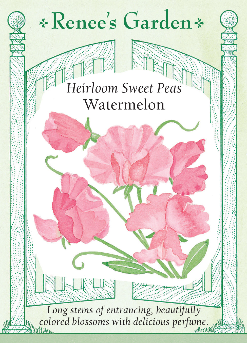Sweet Pea Watermelon - Renee's Garden