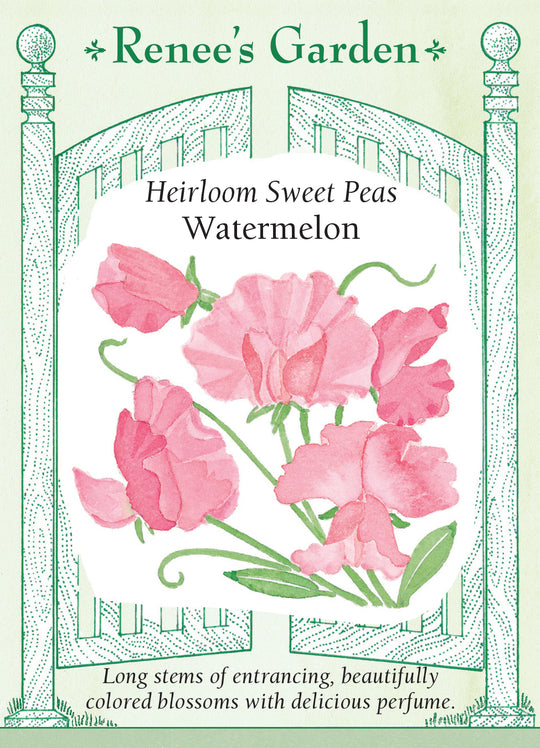 Sweet Pea Watermelon - Renee's Garden