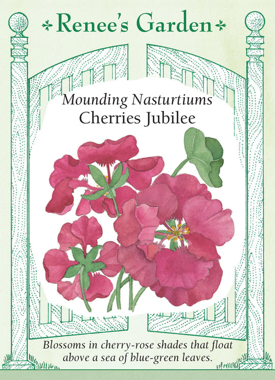 Nasturtium Cherries Jubilee - Renee's Garden