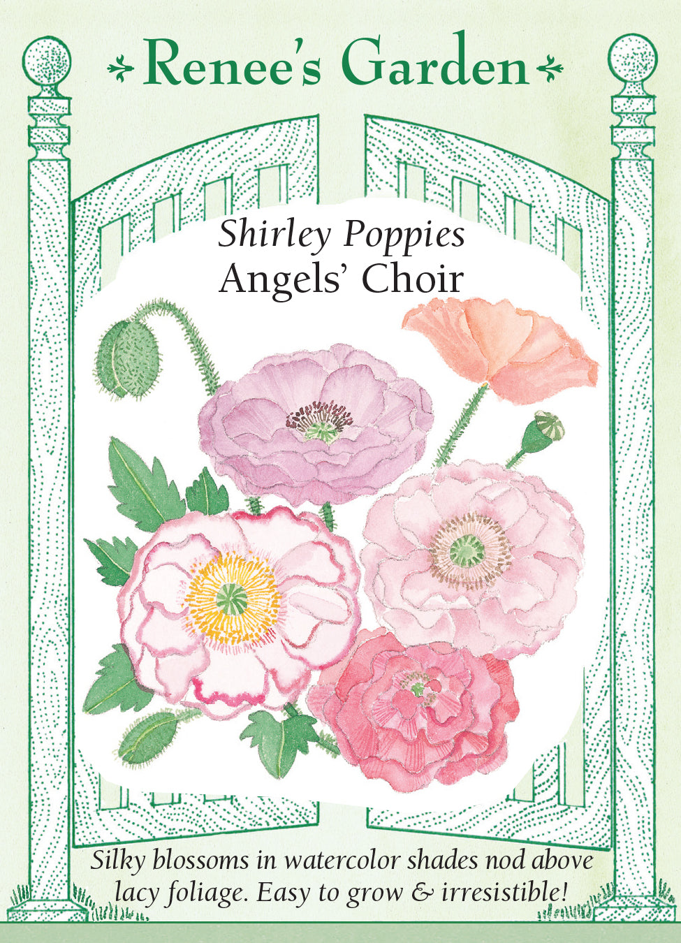 Poppy Angels' Choir - Renee's Garden