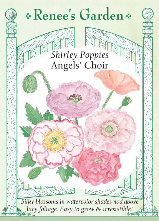 Poppy Angels' Choir - Renee's Garden