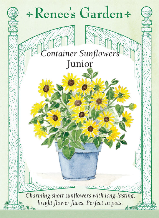 Sunflower Junior - Renee's Garden