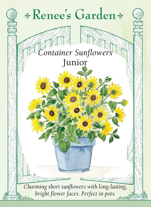 Sunflower Junior - Renee's Garden