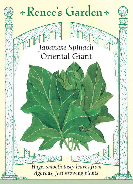Spinach Oriental Giant - Renee's Garden